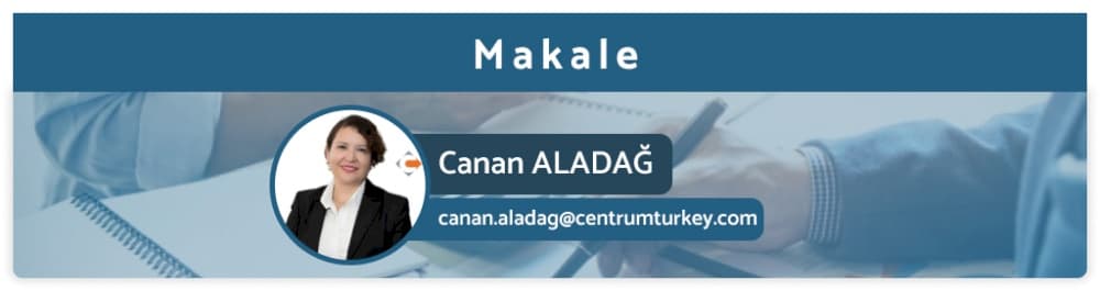 Sorularla Bazı Transfer Fiyatlandırması Kavramları ve Sonuçları
